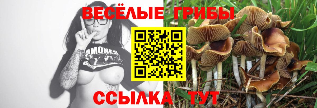 Галлюциногенные грибы Psilocybine cubensis Новоуральск