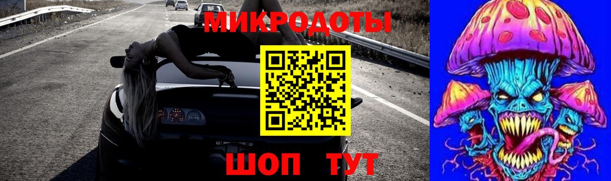 закладки  Вход с VPN  Новоуральск  Псилоцибиновые грибы GOLDEN TEACHER 